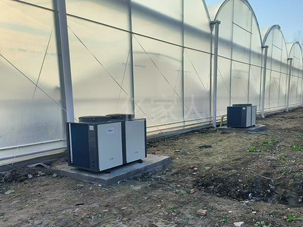 蓝莓大棚引进冷暖空气能四季恒温,降本又增产