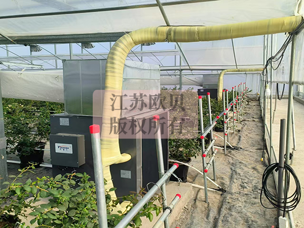 11-4-6.jpg 11-4-6.jpg